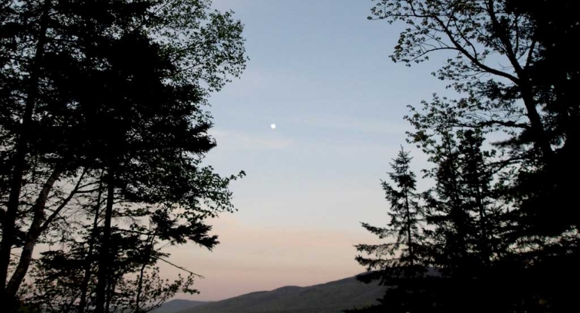 The moon shines against a sky of gentle colors, while dark trees frame each side of the photo. 